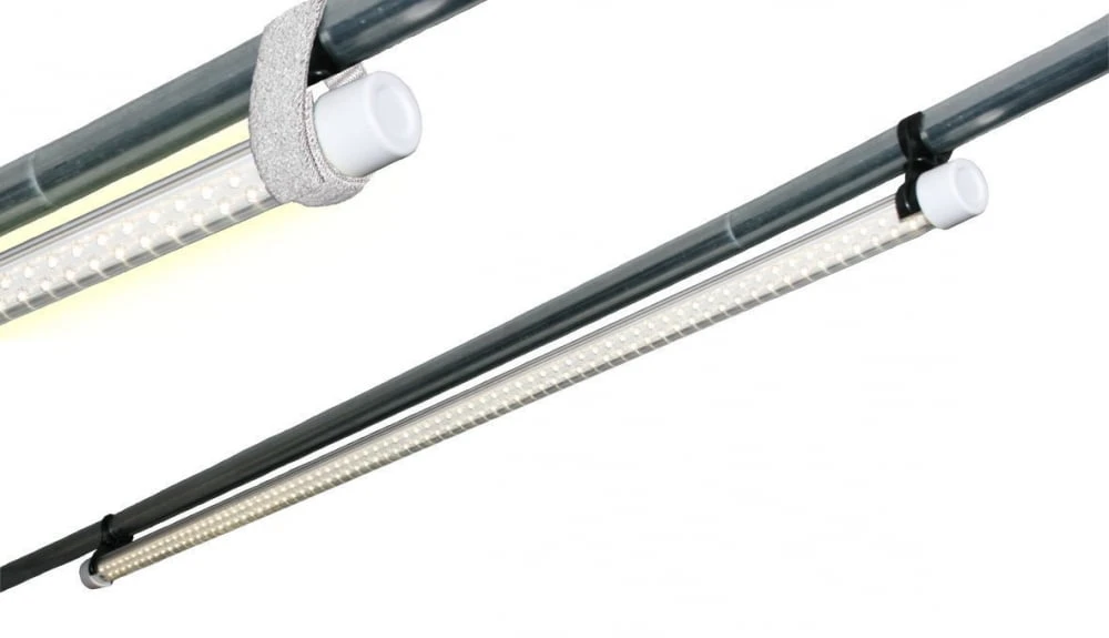 Crusader LED tentlamp buisvorm Insight Crusader LED Tentlamp Buisvorm Insight -Kampeerwereld Winkel 11499 led tentlamp buisvorm insight