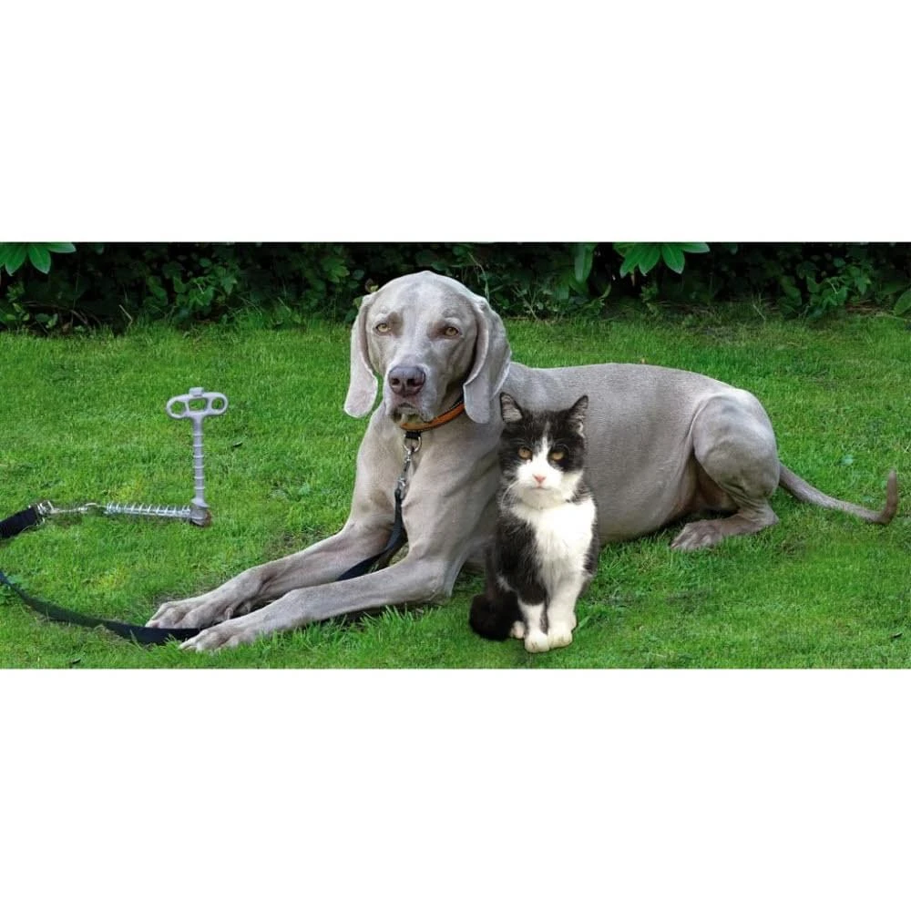 Peggy Peg Pet Peg T-haring Peggy Peg Pet Peg T-haring -Kampeerwereld Winkel 70813 peggy peg pet peg t haring